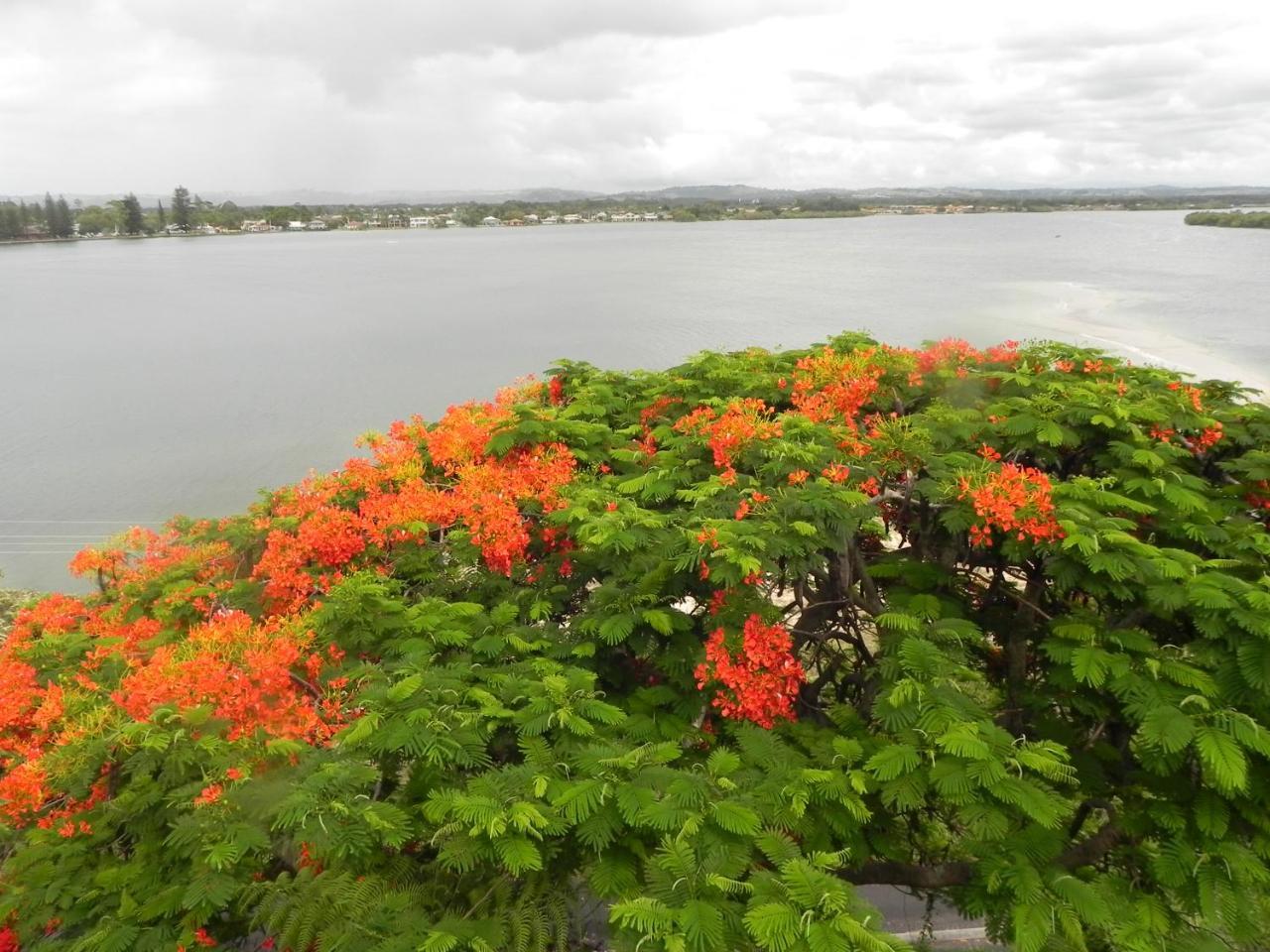 Leisure-Lee Holiday Apartments Ballina Extérieur photo